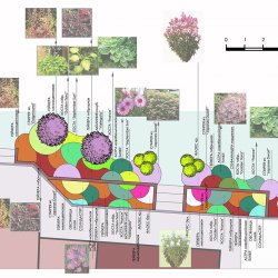 Проект участка - план цветников